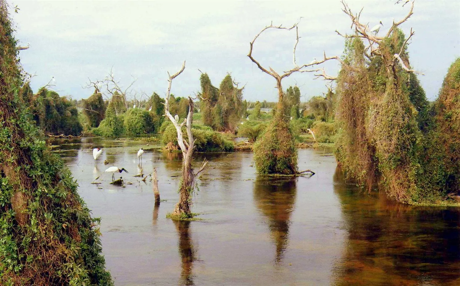 Imagen de la provincia de Formosa de Argentina